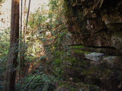 Cliff Wall 
on the same line of cliffs/waterfalls as The Devil's Slide,
4-3-2011
