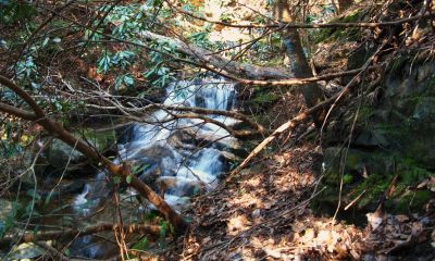 Cascades In Devils Fork
Cascades just above Josiah Falls,
4-3-2011
