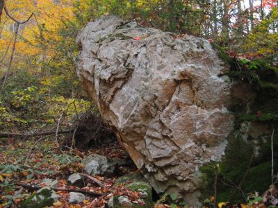Snake-Head Rock
#2...
Sill Branch,
October, 2011
