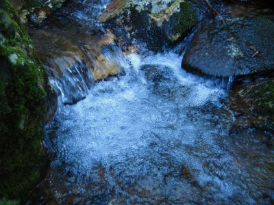 Cold Jacuzzi 
small pool of cold, bubbly water below Josiah Falls, 
4-3-2011
