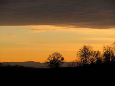 Sunset
Photo by Rat
