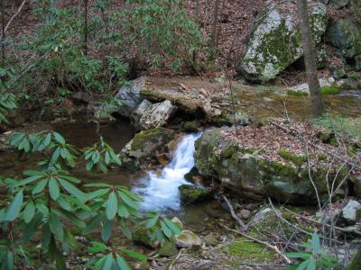 Cascades In Devils Fork
Cascades above Pine Ridge Falls,
4-3-2011
