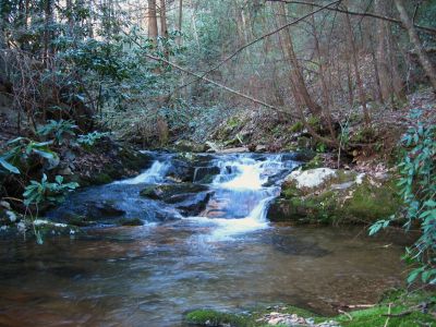 Cascades In Devils Fork
Cascades just above Pine Ridge Falls,
4-3-2011
