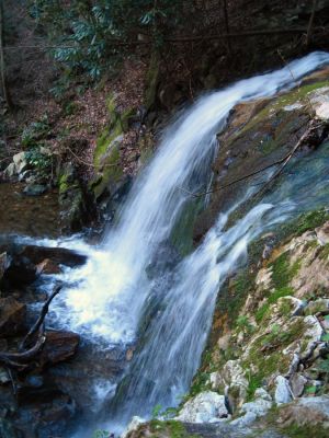 Pine Ridge Falls
Pine Ridge Falls, aka Lower Devils Fork Falls, top view,
4-3-2011
