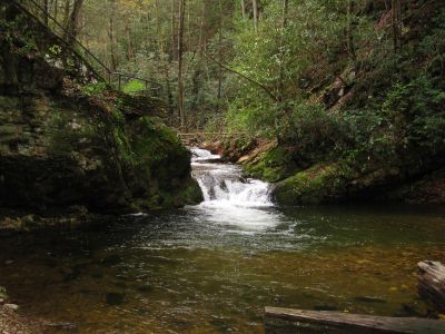Cascades At Old Forge
Jennings Creek,
4-16-2011
