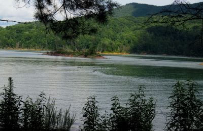 Ducks 
...swimming out to the island.
Autumn, 2016
