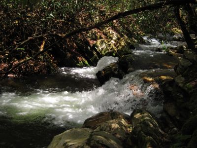 Cascades On Jennings Creek
4-16-2011
