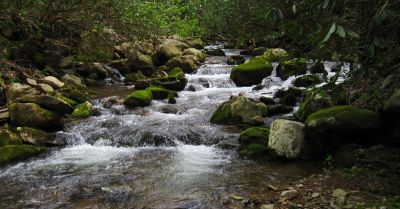 Cascades On Jennings Creek
"Big' Jennings Creek...
4-16-2011
