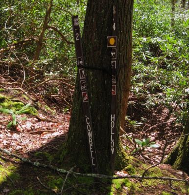 Sign For Cowbell Hollow Trail
4-16-2011

