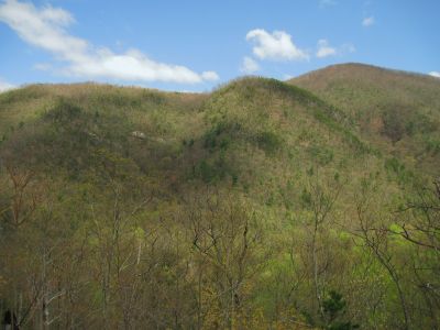 Cowbell Hollow Trail
View...
4-16-2011
