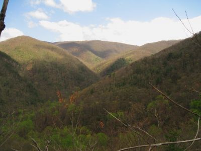 Cowbell Hollow Trail
View...
4-16-2011
