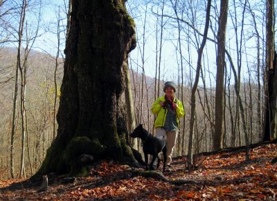 Michelle and Biscuit
Cherry Gap,
Unaka Mountain, 
11-5-2011
