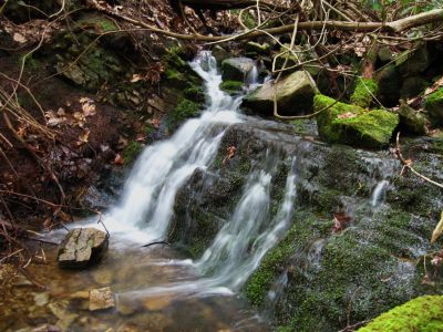 Cascades On Little Jennings Creek
4-16-2011
