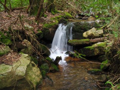 Cascades On Little Jennings Creek
4-16-2011
