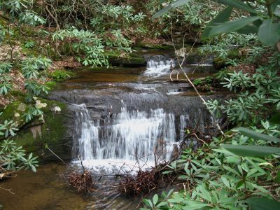 Cascades On Little Jennings Creek
4-16-2011
