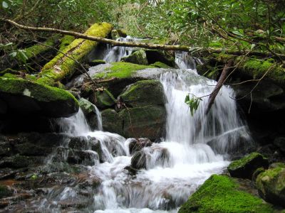 Cascades On Little Jennings Creek
4-16-2011
