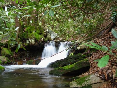 Cascades On Little Jennings Creek
4-16-2011
