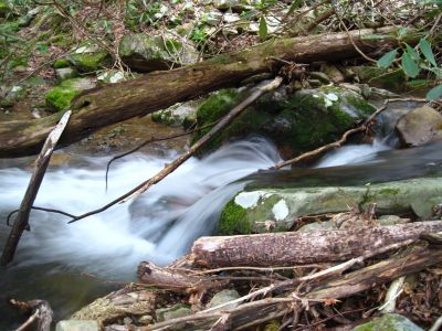 Cascades On Little Jennings Creek
4-16-2011
