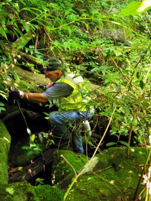 Lou
Action photo, Trail to Lower Dismal Falls, NC.
7-29-2014
