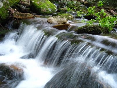 Cascades On Little Jennings Creek
4-16-2011
