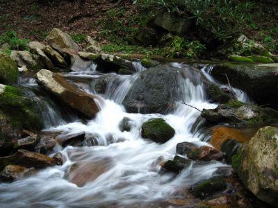 Cascades On Little Jennings Creek
4-16-2011
