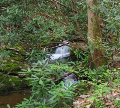 Cascades On Little Jennings Creek
4-16-2011
