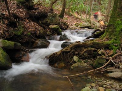 Cascades On Little Jennings Creek
4-16-2011
