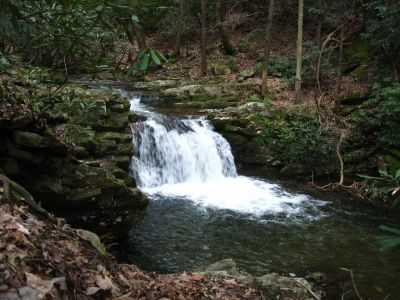 Falls At Old Forge
4-16-2011
