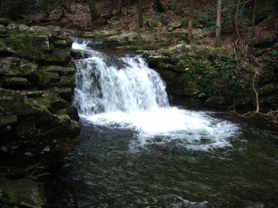 Falls At Old Forge
4-16-2011
