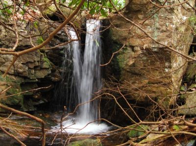 Small Waterfall
about 10 feet tall, just before Jones Branch Falls,
April, 2010
