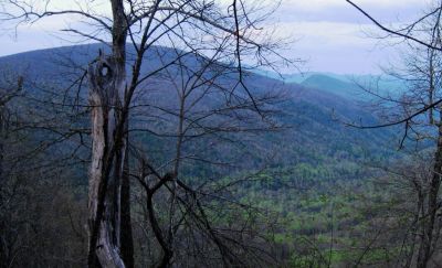 Flattop Mountain
View of Joe Lewis Fields and Flattop Mountain,
April, 2011
