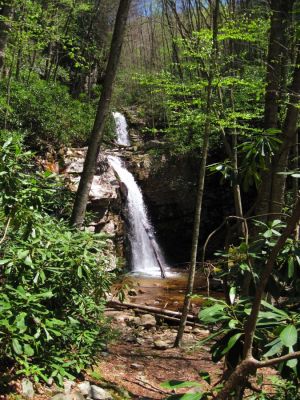 Gentry Creek Falls
4-30-2011

