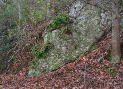 Mossy Boulder
No business Knob Trail,
11-6-2011
