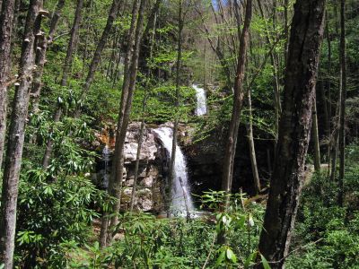 Gentry Creek Falls
4-30-2011
