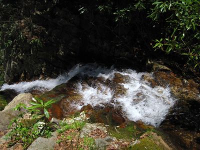Gentry Creek Falls
Cascades, just above upper set of falls,
4-30-2011
