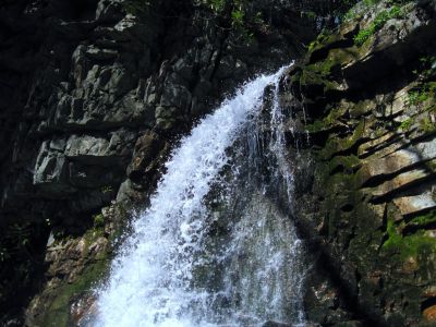 Gentry Creek Falls
Water cascading off of the upper set of falls
4-30-2011
