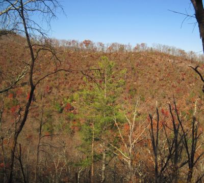 View From No Business Knob
Rocky Ridges,
11-6-2011
