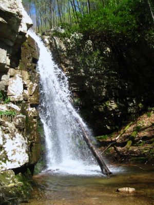 Gentry Creek Falls
Lower set of falls
4-30-2011
