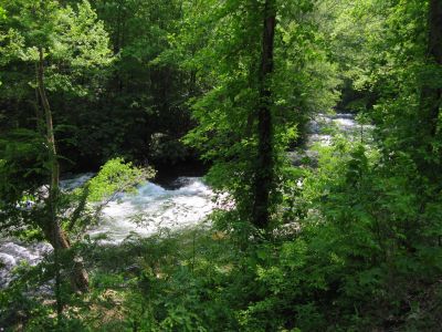 Nantahala River
North Carolina
May, 2011
