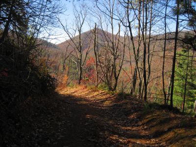 View From No Business Knob
View of Temple Hill,
11-6-2011
