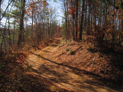 Trail
On No Business Knob,
11-6-2011
