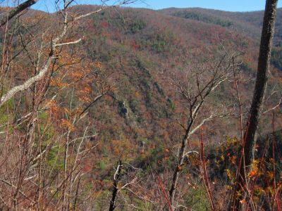 View From No Business Knob
View of rock cliffs in the Nolichucky Gorge,
11-6-2011
