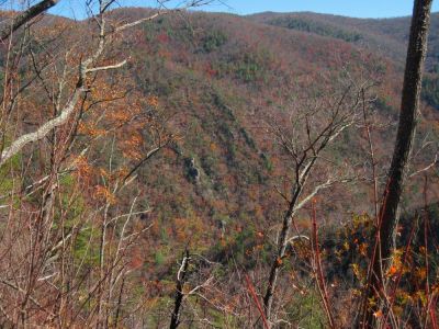View From No Business Knob
View of rock cliffs in the Nolichucky Gorge,
11-6-2011
