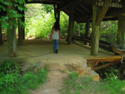 'Grasshopper'
Covered Bridge,
Northern Georgia,
May, 2011
