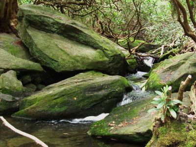 Boulders
framing creek-bed,
Chinquapin Mountain Trail, Georgia,
May, 2011
