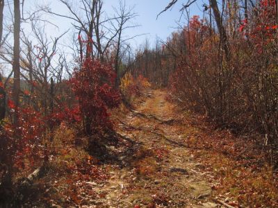 Autumn Trail
No Business Knob
11-6-2011
