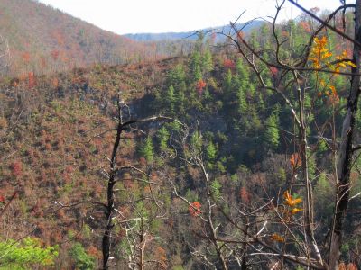 View
Cliffs/Rocky Ridge view near Nolichucky River,
11-6-2011

