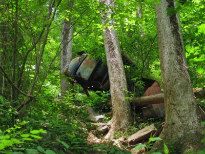 Old Truck
Remnants of an old truck that a tree has grown around,
Amicalola State Park, Georgia,
May, 2011
