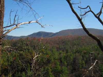 View From No Business Knob
Flattop Mountain  in the distance,
11-6-2011
