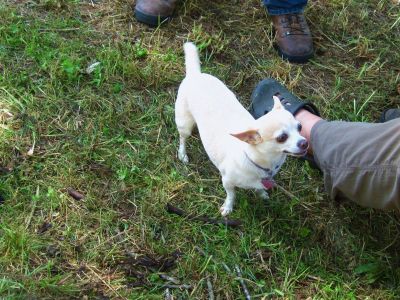Shady Jack's Puppy
Pre-Wedding Festivities...
5-21-2011
